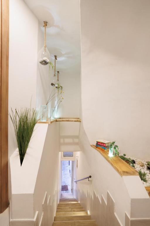 Legnosuites 3 Rooms 3 Bathrooms Group And Family By Houseinナポリ エクステリア 写真